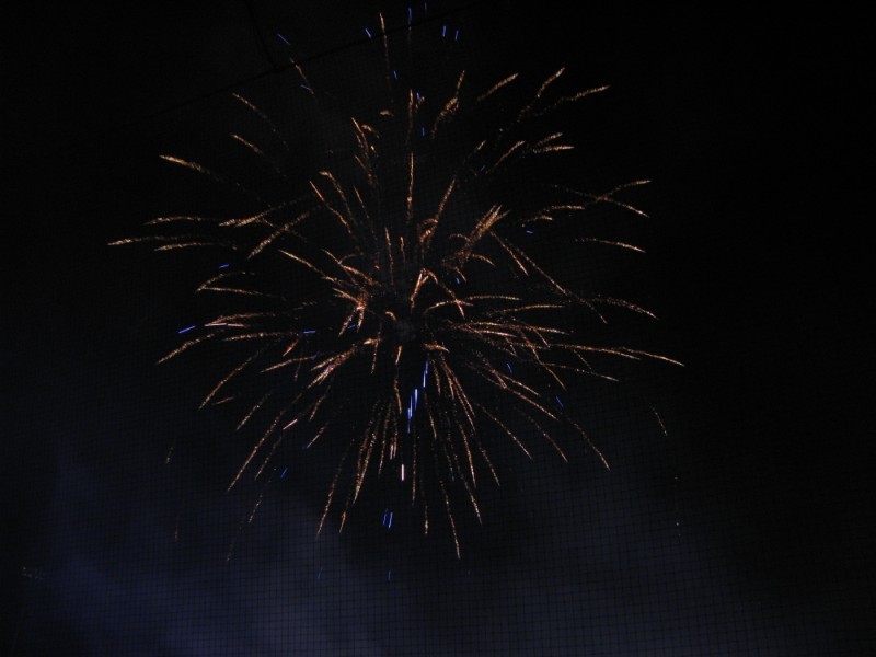 Fireworks (19).JPG